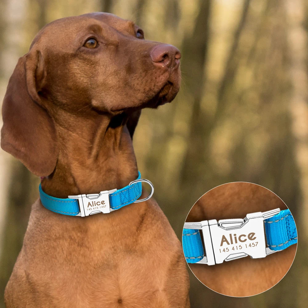 Personazlied Dog Collar Nylon Reflective Dog Pet Collars Customized Pet Collar With Anti-lost Tag For Small Medium Dogs