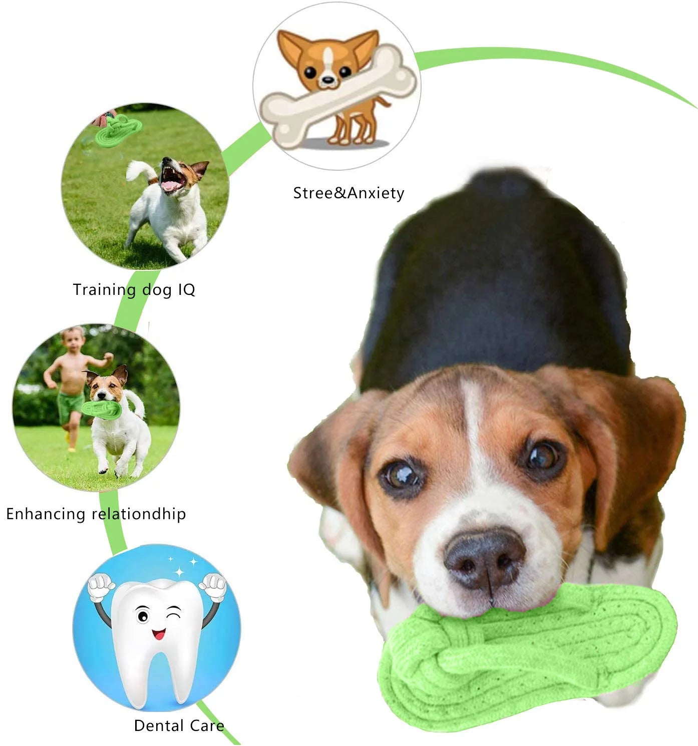 Jouet à mâcher pour chien en corde de coton pour petits et grands chiens, jouets molaires pour l'entraînement des dents des animaux de compagnie, jouet interactif pour chien, accessoires pour chiens