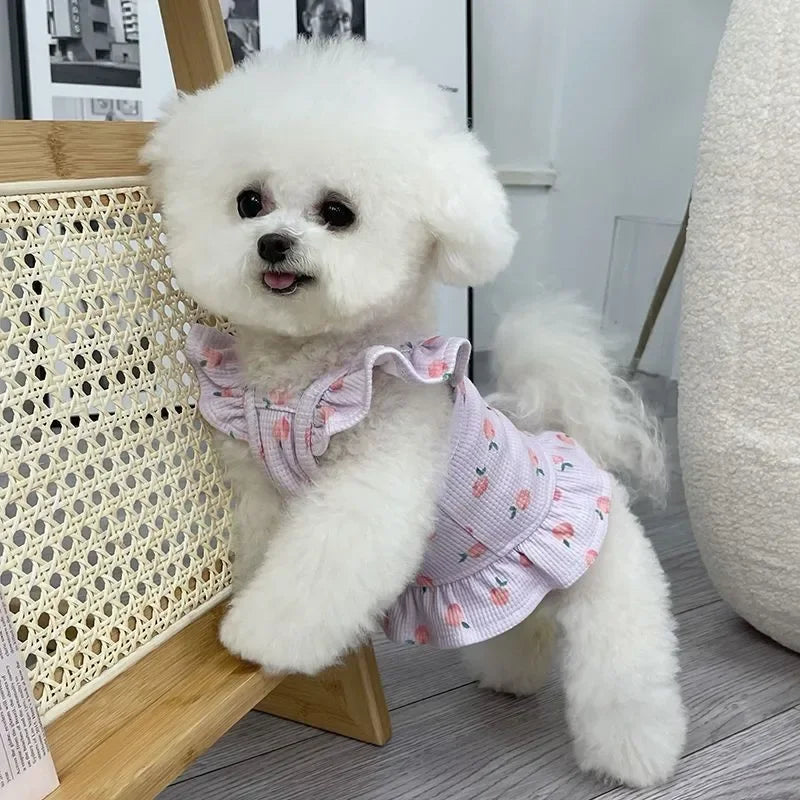 Pet Princess for Dog Small Dog Clothes Wedding Dress Princess Dress Spring Summer Soft Sweet Flying Sleeves Skirt Pet Clothes