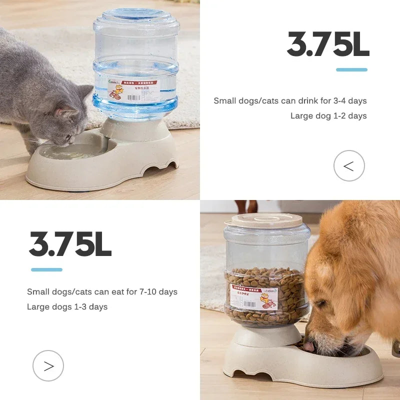 Distributeur automatique d'eau et de nourriture pour chiens et chats, grande capacité, distributeur d'eau par gravité, 3,8 L, accessoires pour chiens