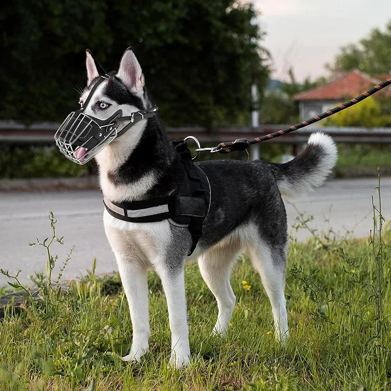 Housse de protection en cuir pour la bouche du chien Muselière en métal réglable et respirante pour animaux de compagnie Muselière anti-morsure pour panier sans cruauté Accessoires pour chiens