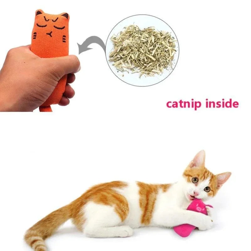 Jouet pour animaux de compagnie Bruissement Son Jouet à l'herbe à chat Fournitures pour chats Jouets pour chats mignons pour animaux de compagnie Dents de chaton Grincement Coussin pour pouce en peluche pour chat Produits pour animaux de compagnie gatos