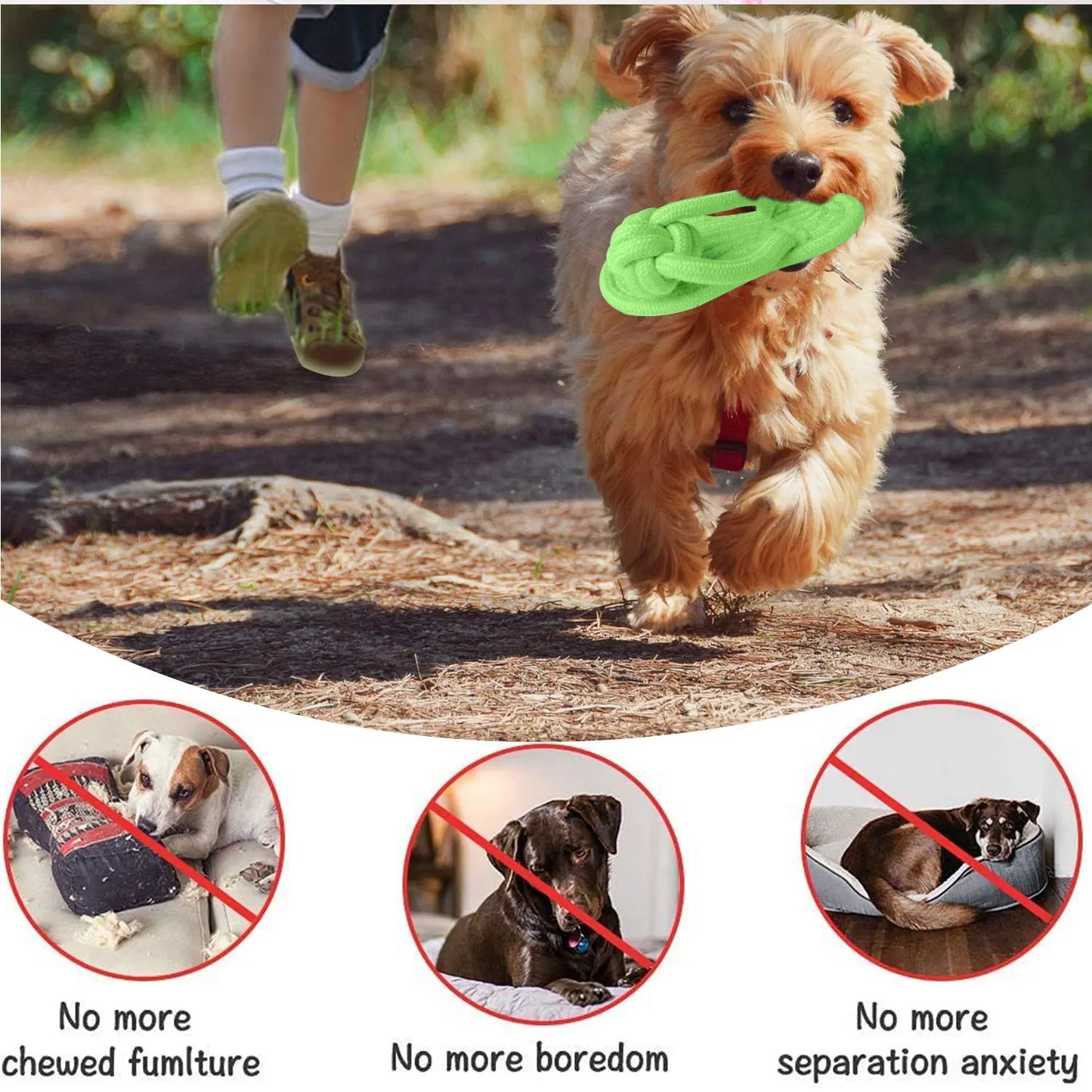 Jouet à mâcher pour chien en corde de coton pour petits et grands chiens, jouets molaires pour l'entraînement des dents des animaux de compagnie, jouet interactif pour chien, accessoires pour chiens