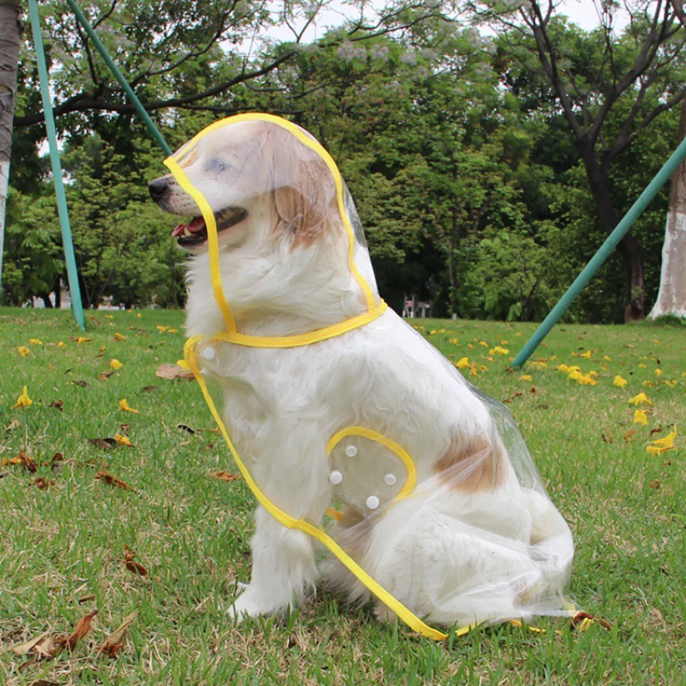 Imperméable pour chien de grande taille L-8XL imperméable transparent épais pour grand chien masqué pour éviter les infiltrations d'eau